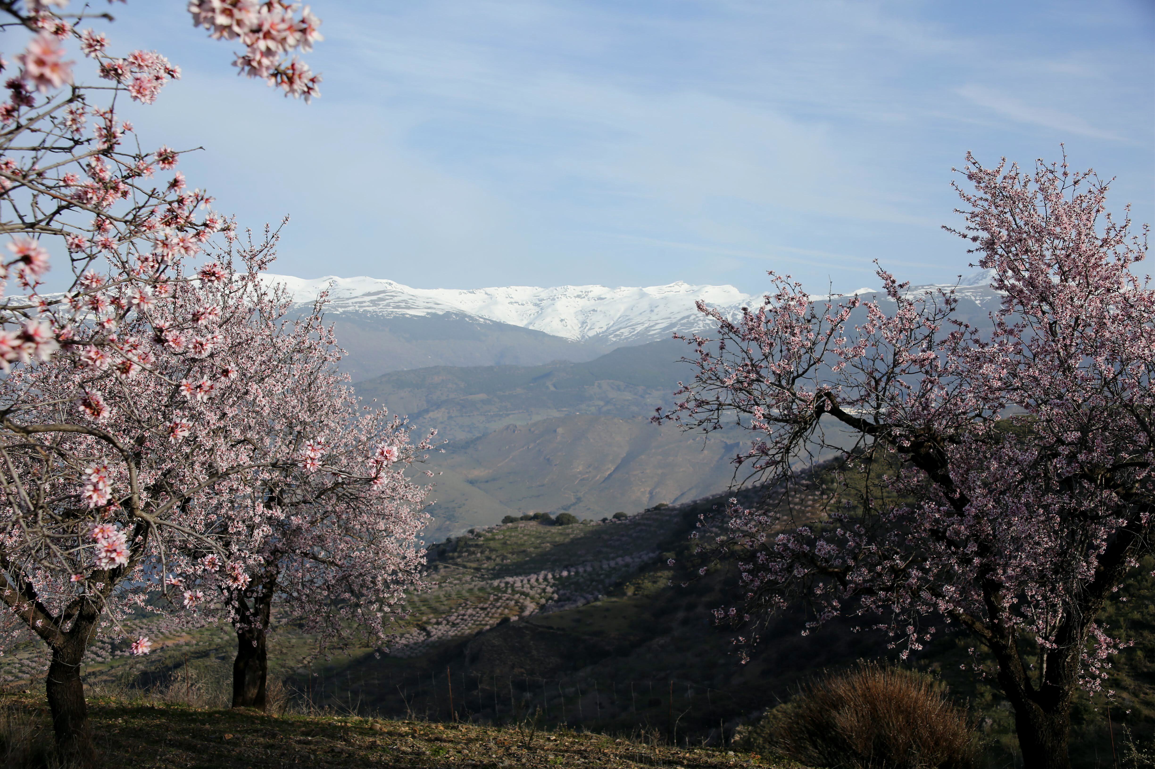 Cortijo Vid de Arriba