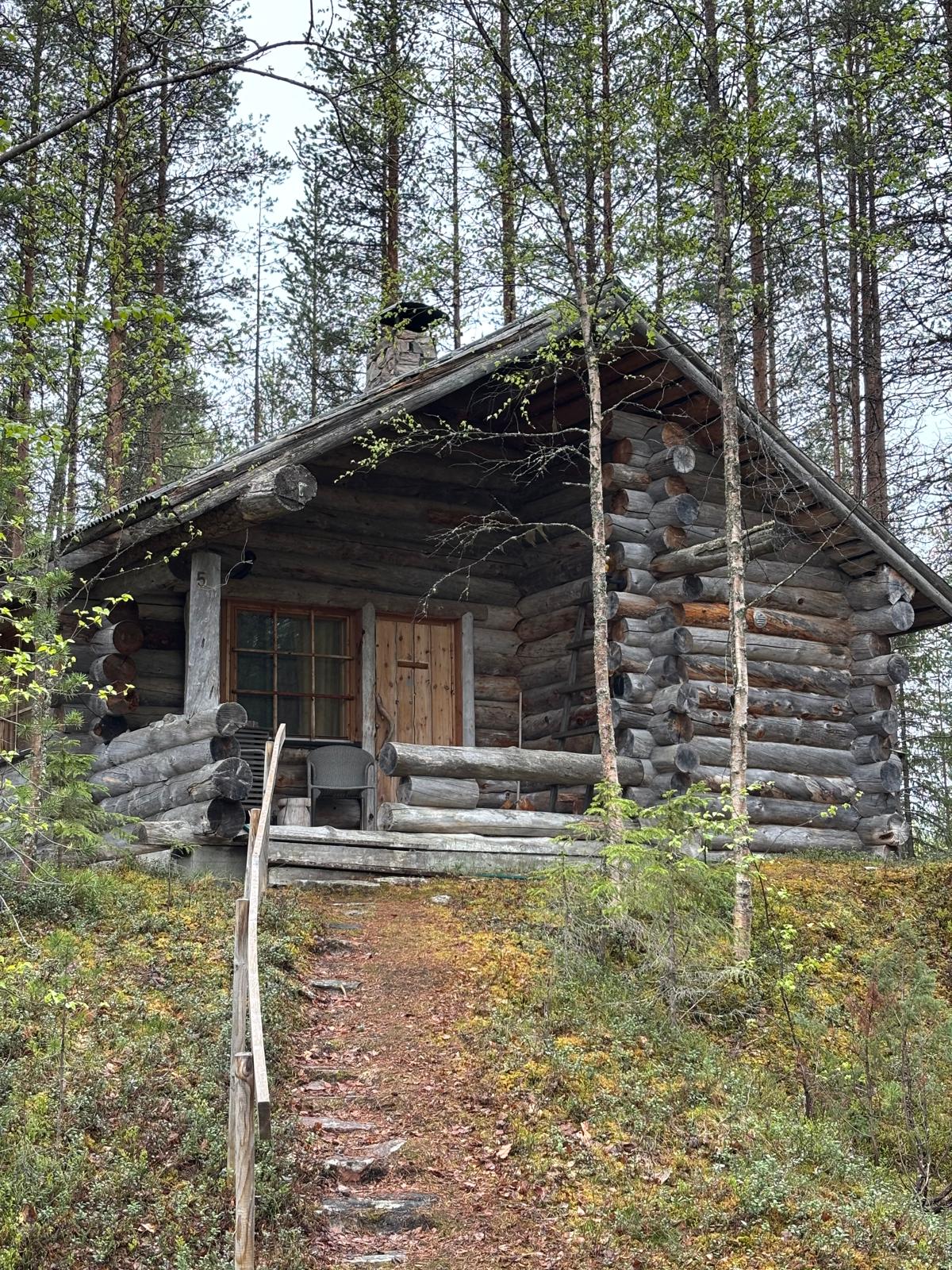 Taimikkotie